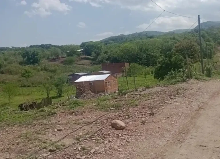 usurpacion-en-la-yunga-de-tafi-viejo:-pediran-que-la-unt-intervenga