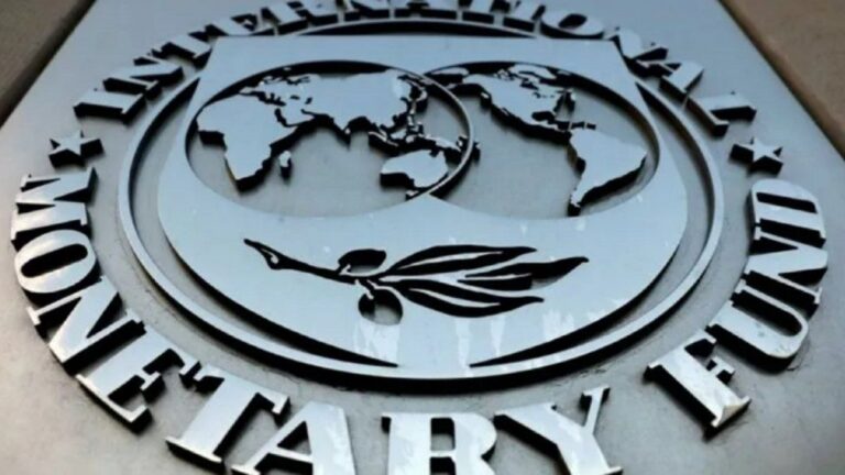 El FMI destacó el programa económico oficial: «Resultados impresionantes»