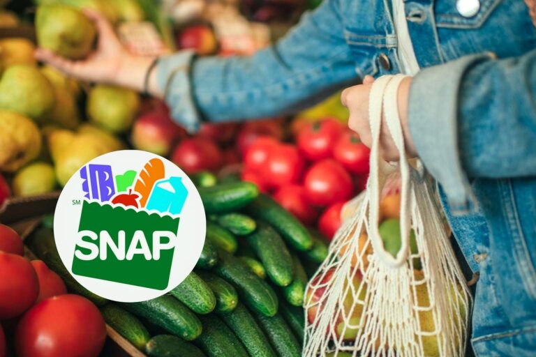 Cada vez más robos de beneficios SNAP: California, Florida y Nueva York, en alerta