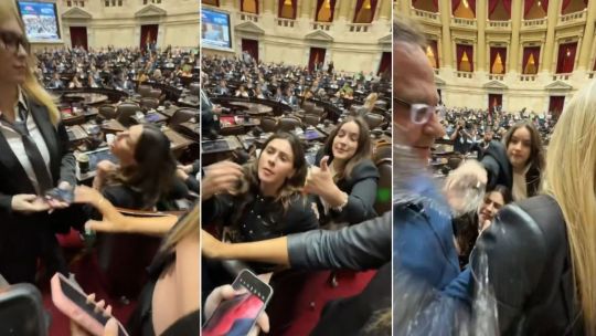 Crece la interna libertaria después del escándalo en el Congreso entre Lemoine y Pagano