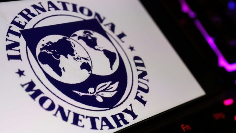 Acuerdo con el FMI: el Gobierno suma un nuevo apoyo en el Congreso para blindar el DNU