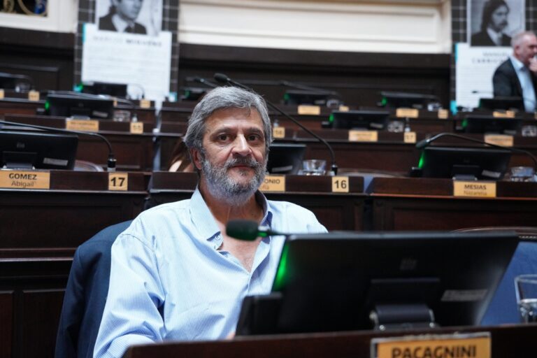Pacagnini. Rosquean para meter en la provincia la reforma electoral de Milei