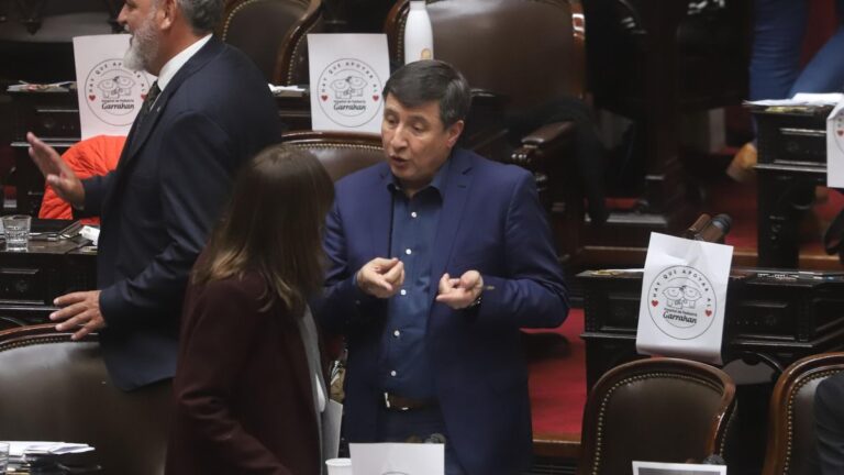 Diputados debate la emergencia en discapacidad, en medio del reclamo nacional
