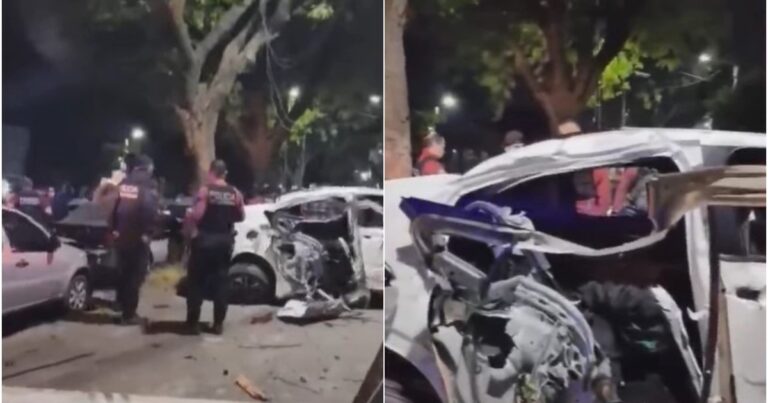 Un ladrón murió, otro fue detenido y dos escaparon tras una persecución en Mataderos