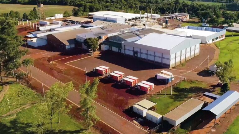 Industria porcina paraguaya se consolida y abre camino en mercado asiático