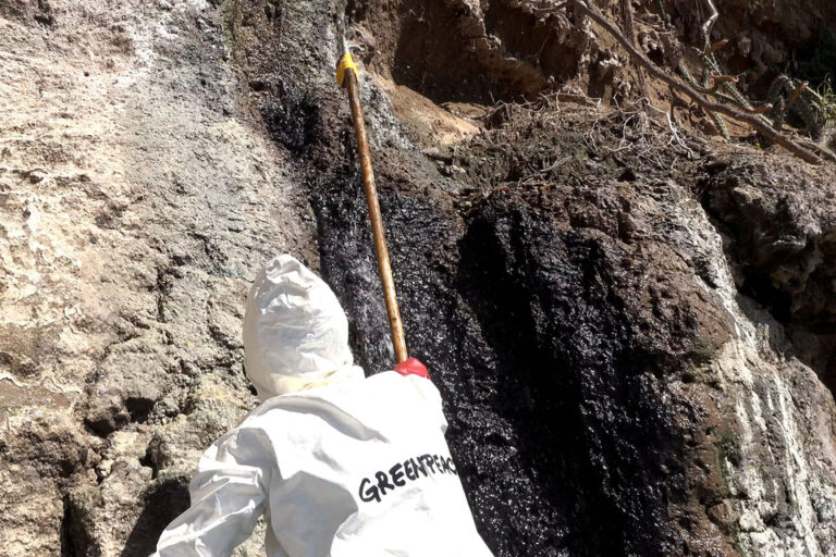 Atanor busca evadir una clausura judicial