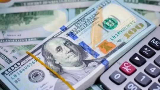 Los depósitos en dólares totales aumentaron 2.633 millones de dólares, afirmó una economista