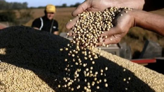 El Gobierno oficializó la rebaja de retenciones para el campo: qué impacto fiscal tendrá a corto y mediano plazo