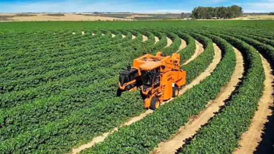 Cómo fueron las elecciones en el agro: Hay gente que está asqueada de la política y ni le interesa
