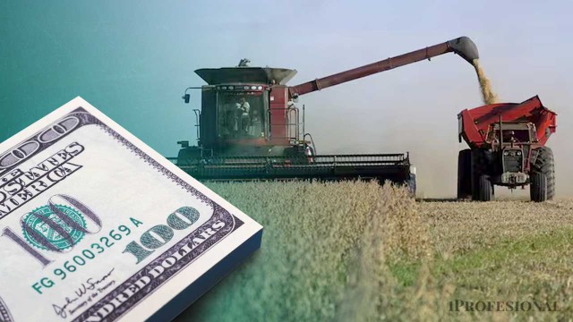 Estos son los grandes dueños de la venta de soja y que le sacarán el jugo a las retenciones 0%