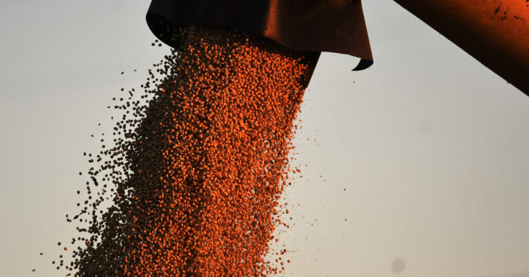 Volvieron las retenciones al campo: de cuánto es la alícuota para granos y subproductos tras alcanzar el cupo que estableció el Gobierno