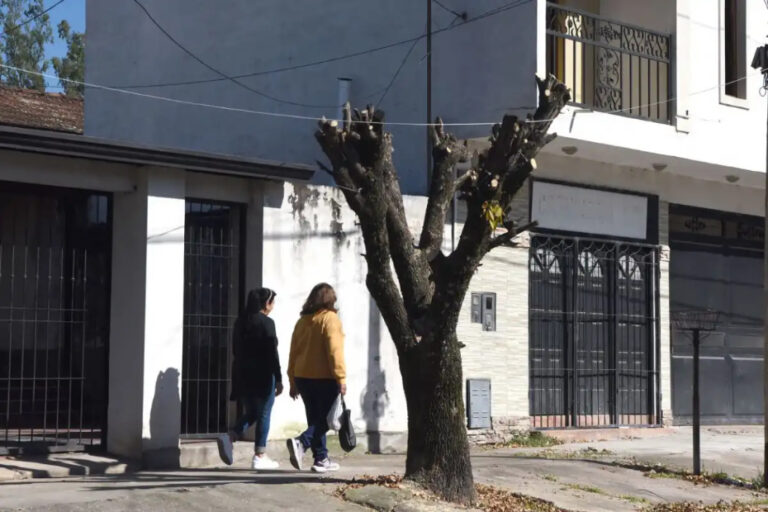 Árboles podados en la comuna de San Pablo, Tucumán, con troncos desnudos y ramas cortadas